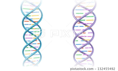 Normal DNA vs Point Mutation Comparison 132455492