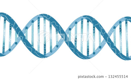 DNA Double Helix Molecular Structure DNA Double Helix Molecular Structure 132455514