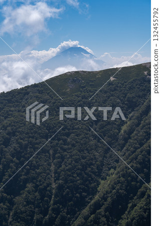 從北嶽山小太郎嶺交界處看到的雲海中的富士山。攀登南阿爾卑斯山的北岳 132455792