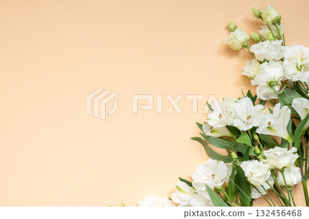 White flowers and green leaves on peach background White flowers and green leaves on peach background 132456468