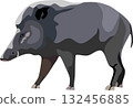 Wild Boar Mammal Animal 132456885