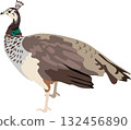 Peahen Bird Animal 132456890