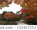Autumn leaves of Takaoka Kojo Park 132457253