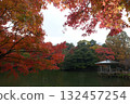 Autumn leaves of Takaoka Kojo Park 132457254