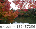 Autumn leaves of Takaoka Kojo Park 132457256