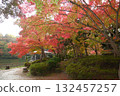 Autumn leaves of Takaoka Kojo Park 132457257