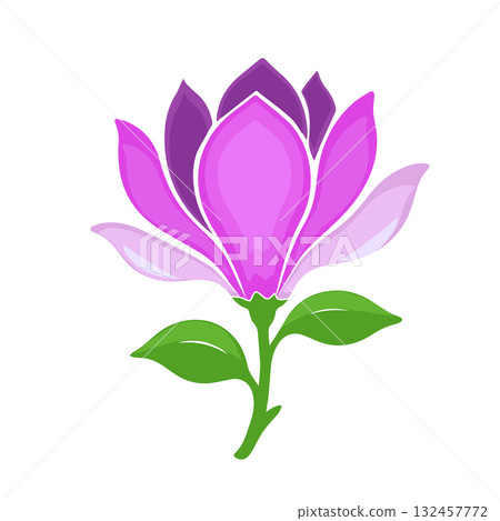 magnolia flower object. Hand drawn. Not AI, vector illustration 132457772