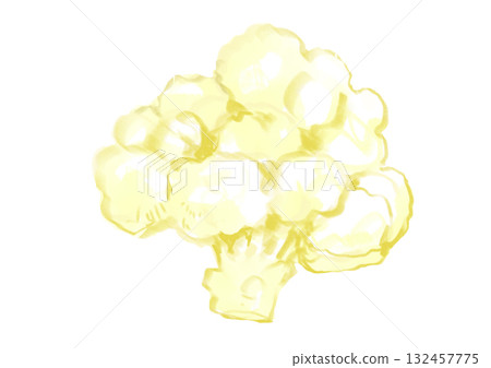 Hand-drawn watercolor illustration of freshly picked and delicious cauliflower 132457775