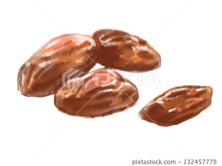 Hand-drawn watercolor illustration of nutritious and delicious dried dates Hand-drawn watercolor illustration of nutritious and delicious dried dates 132457778