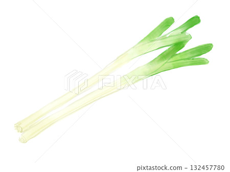 手繪水彩插圖,描繪新鮮採摘的美味白洋蔥 手繪水彩插圖,描繪新鮮採摘的美味白洋蔥 132457780