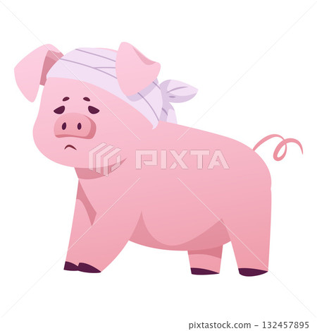 A sad pink kitten with a bandaged head, a sick animal. A sad pink kitten with a bandaged head, a sick animal. 132457895