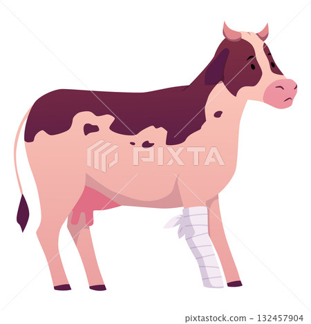 A cartoon cow with a bandaged leg, a sick animal, side view. 132457904