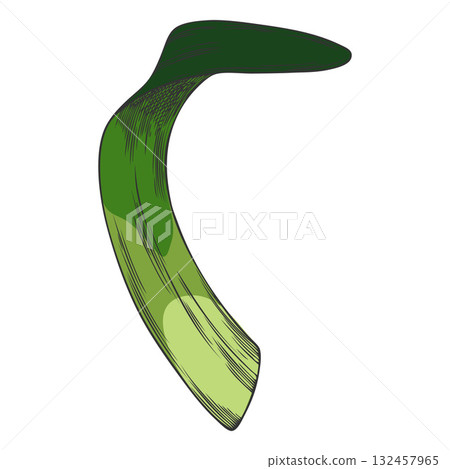 Hyacinth flower green leaf sketch vector icon, hand drawn spring plant, grass herb foliage, botanical design Hyacinth flower green leaf sketch vector icon, hand drawn spring plant, grass herb foliage, botanical design 132457965