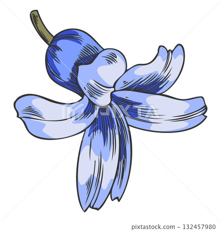 Hyacinth flower sketch, vector hand drawn spring blue bell-shaped bud blossom plant, blooming herb, botanical design Hyacinth flower sketch, vector hand drawn spring blue bell-shaped bud blossom plant, blooming herb, botanical design 132457980