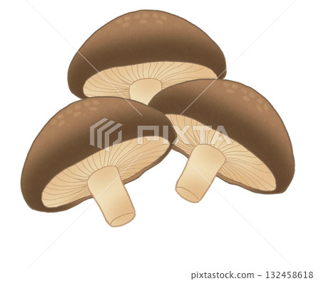 三幅香菇插圖 132458618