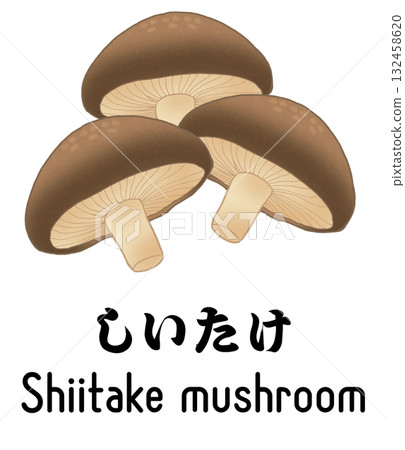 三種香菇的插圖，配有英文和日文文本 132458620
