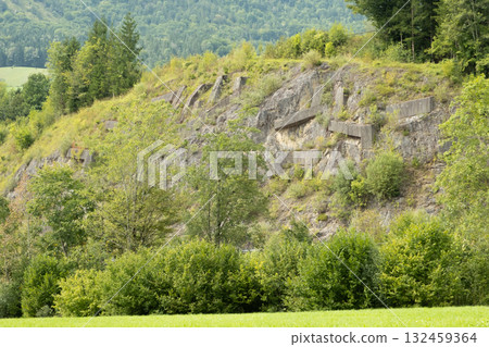 Rocky low mountain in the Alps, wooded landscape 132459364