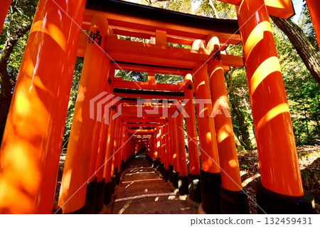Kyoto Prefecture, Fushimi Inari Taisha Shrine, Senbon Torii (near the inner shrine), Fukakusa Yabunouchicho, Fushimi Ward, Kyoto City, February 2022 Kyoto Prefecture, Fushimi Inari Taisha Shrine, Senbon Torii (near the inner shrine), Fukakusa Yabunouchicho, Fushimi Ward, Kyoto City, February 2022 132459431