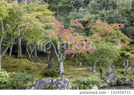 Garden scenery as the leaves begin to change color 132459731