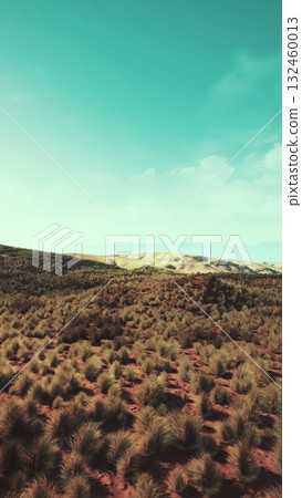 A dry desert landscape with scarce grass patches under a clear blue sky. A dry desert landscape with scarce grass patches under a clear blue sky. 132460013