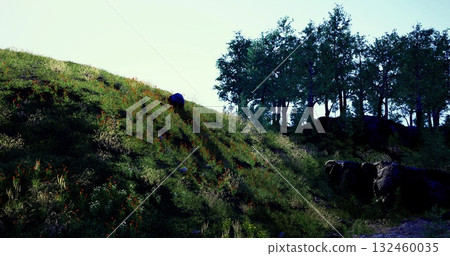 Golden sunlight casts gentle shadows on a lush hillside adorned with wildflowers. Tall trees stand in the background, adding depth to the serene landscape at dawn. 132460035