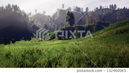 Vibrant green meadows stretch across gently rolling hills, framed by shadowy mountains under a soft morning light. Natures tranquility invites exploration and adventure. 132460063