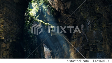 Sunlight streams through a rocky cave, illuminating vibrant greenery while creating a mystical atmosphere. Nature thrives in this serene underground environment. 132460104