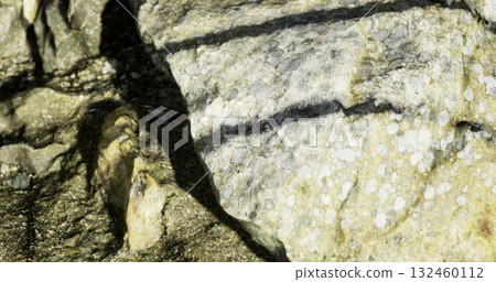 Sunlight casts shadows on a rugged rock surface, highlighting intricate textures and color variations. The interplay of light and shadow creates a captivating visual effect in nature. 132460112