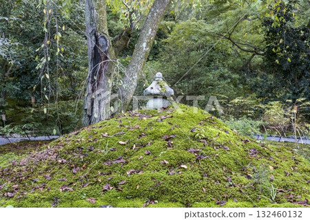 Mossy stone lantern Mossy stone lantern 132460132