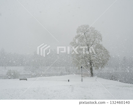 Silent wintry day with snowfall. Silent wintry day with snowfall. 132460140