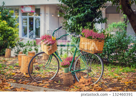 Retro bicycle with wicker baskets filled with purple flowers parked in autumn garden. Concept of cozy lifestyle, floral decoration, autumn vintage romance 132460391