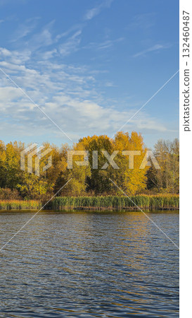 A deep river surrounded by trees and plants. Reed beds. Boats on the water. 132460487