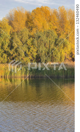 A deep river surrounded by trees and plants. Reed beds. Boats on the water. A deep river surrounded by trees and plants. Reed beds. Boats on the water. 132460490