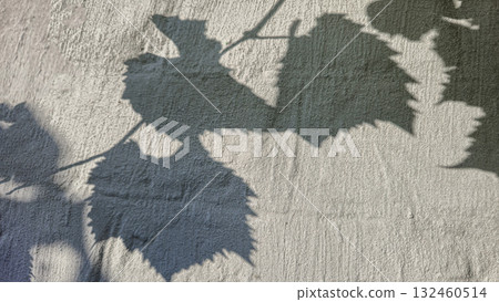 A fence or concrete wall with a shadow cast by grape leaves. Volumetric texture. 132460514