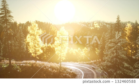 Golden sunlight filters through vibrant autumn foliage, illuminating a winding road nestled in a serene forest. The hills showcase a tapestry of warm colors and tranquil beauty. Golden sunlight filters through vibrant autumn foliage, illuminating a winding road nestled in a serene forest. The hills showcase a tapestry of warm colors and tranquil beauty. 132460588