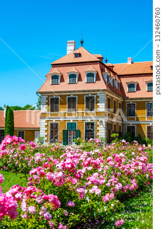 Panoramic view of Rajec Jestrebi Chateau on a sunny summer day with blue sky, blooming pink roses, and a fountain in front of the historical building. 132460760