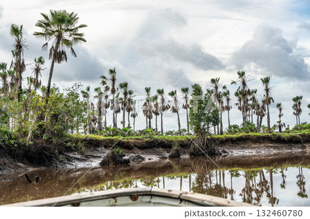 Boat trip on the Igarape do Urubu River, Delta das Americas to Ilha das Canarias, Brazil. South America Boat trip on the Igarape do Urubu River, Delta das Americas to Ilha das Canarias, Brazil. South America 132460780