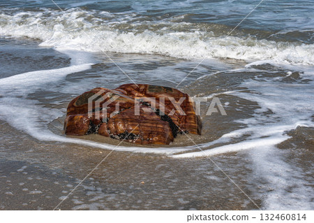 Victory Beach, Praia da Vitoria at Jijoca de Jericoacoara, Ceara, Brazil 132460814