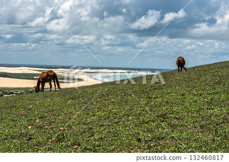Serrote de Jericoacoara trail along the coast and beaches from Jericoacoara to Pedra Furada in Ceara State of Brazil Serrote de Jericoacoara trail along the coast and beaches from Jericoacoara to Pedra Furada in Ceara State of Brazil 132460817