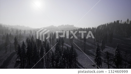 A serene winter landscape showcases snow laden trees and rolling hills under a soft morning light. The stillness evokes a peaceful atmosphere, ideal for nature lovers and hikers. A serene winter landscape showcases snow laden trees and rolling hills under a soft morning light. The stillness evokes a peaceful atmosphere, ideal for nature lovers and hikers. 132460999