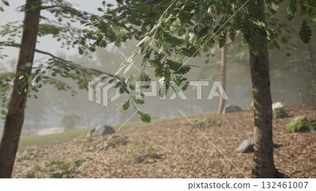 A tranquil woodland setting features green leaves fluttering in the gentle breeze. The ground is covered in fallen leaves and smooth stones, creating a serene atmosphere. 132461007