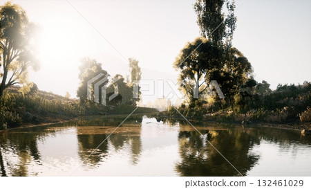 A peaceful natural setting features a calm pond surrounded by lush greenery, with sunlight gently illuminating the scene, creating a serene atmosphere. 132461029