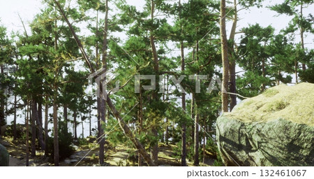 Tall trees green with foliage surround a large rock formation beside a shimmering body of water. Sunlight filters through the branches, creating a serene atmosphere. Tall trees green with foliage surround a large rock formation beside a shimmering body of water. Sunlight filters through the branches, creating a serene atmosphere. 132461067