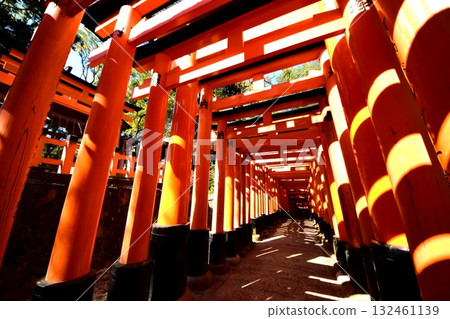京都府,伏見稻荷大社,千本鳥居(內神社附近),深草藪之內町,伏見區,京都市,2022 年 2 月 京都府,伏見稻荷大社,千本鳥居(內神社附近),深草藪之內町,伏見區,京都市,2022 年 2 月 132461139