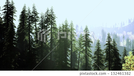 Sunlight filters through tall evergreen trees in a serene forest. The mist adds a mystical ambiance to the early morning setting, creating a tranquil atmosphere in nature. 132461382