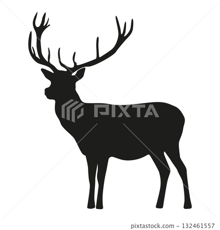 Deer_04 132461557