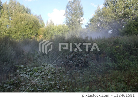 Landscape nature with fog. Early morning. Foggy Landscape nature with fog. Early morning. Foggy 132461591