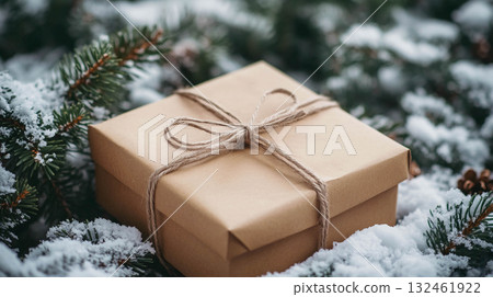 gift, box, snow 132461922