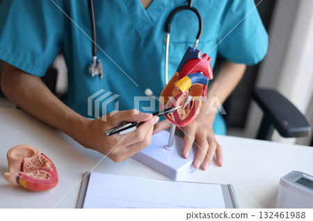 Doctor using heart model to explain blood flows direction and patient heart health issue Doctor using heart model to explain blood flows direction and patient heart health issue 132461988
