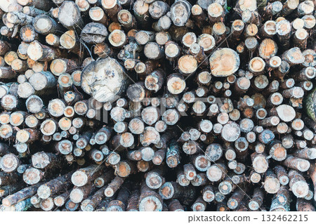 Stacked logs in a natural setting, showcasing various sizes and textures, creating a rustic and organic atmosphere, ideal for nature-themed projects and designs 132462215